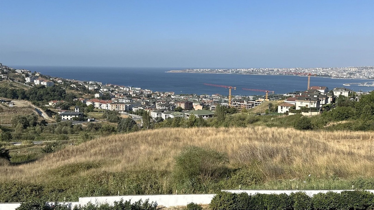 Photo of Others in Buyukcekmece