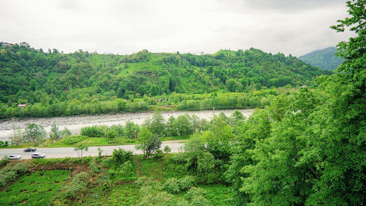 Photo of Others in Ardesen