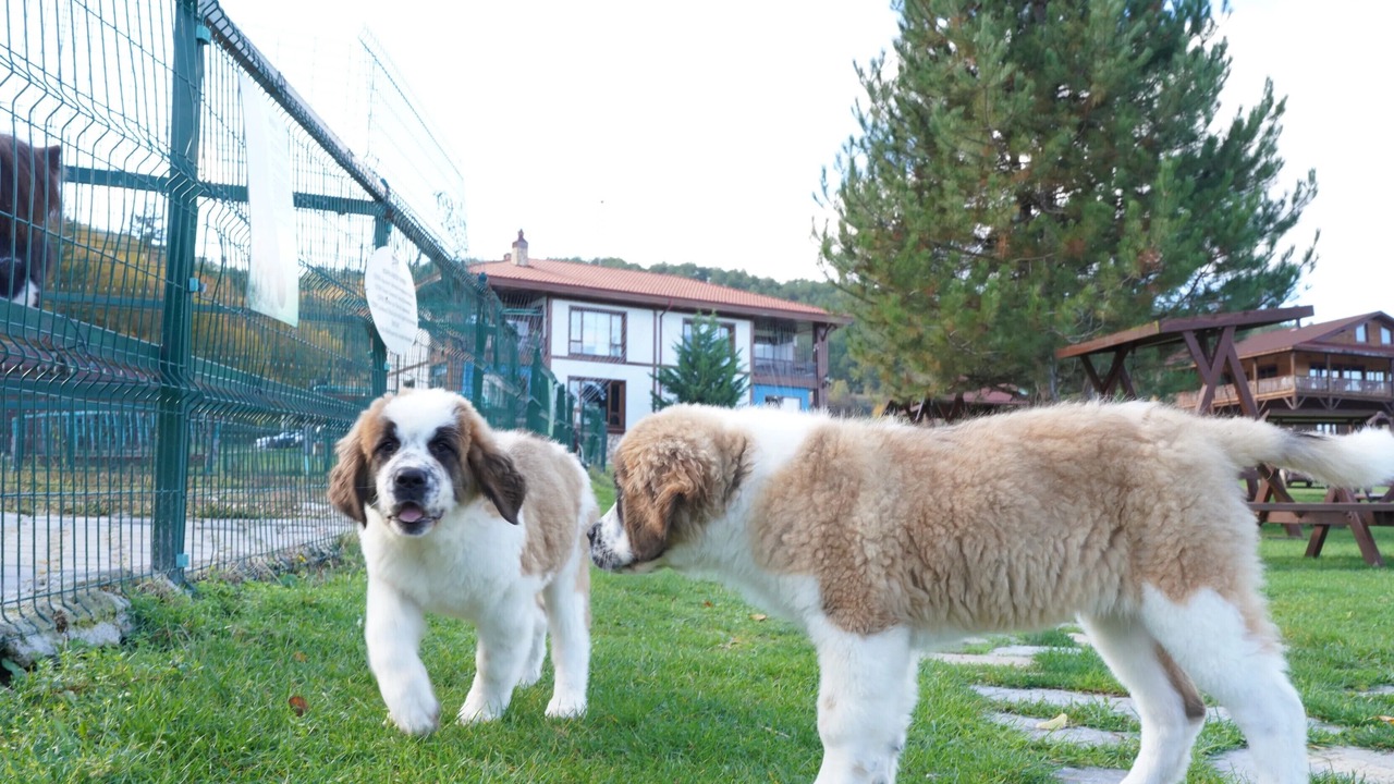 Photo of Outdoor in Mengen