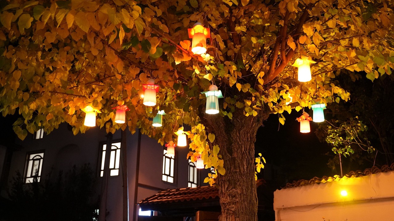 Photo of Outdoor in Taraklı