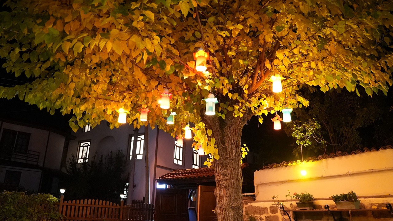 Photo of Outdoor in Taraklı