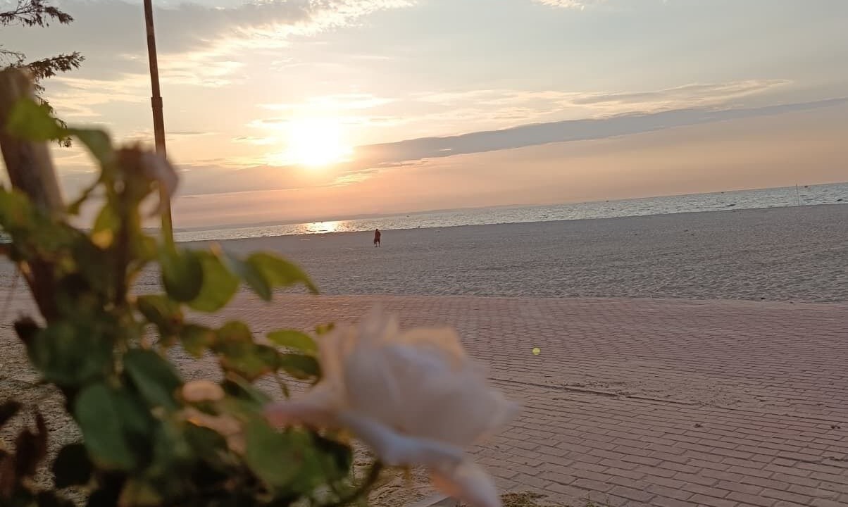 Photo of Outdoor in Marmara Ereglisi