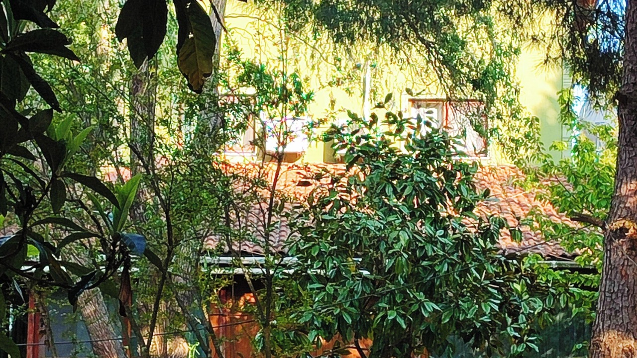Photo of Patio Balcony in Agva