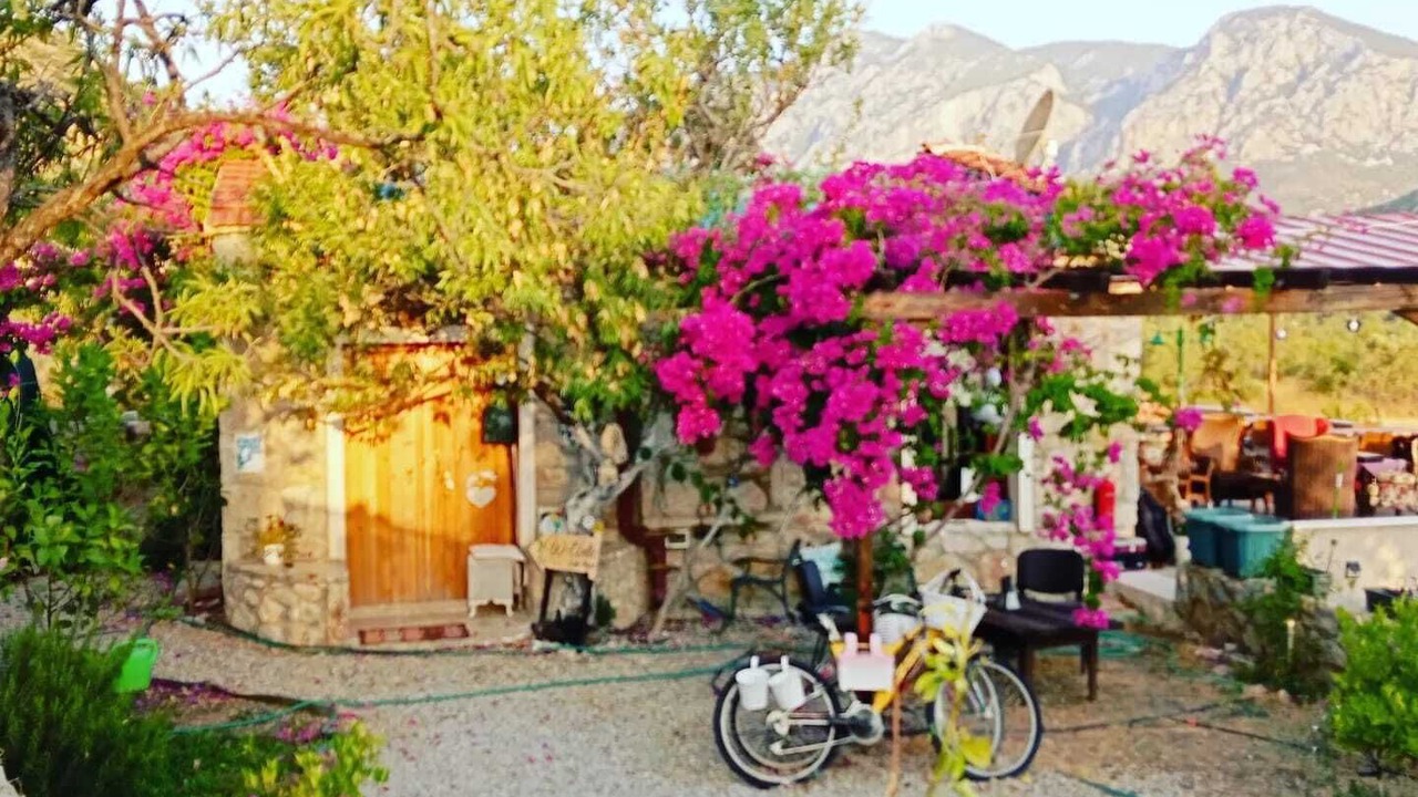 Photo of Outdoor in Datca