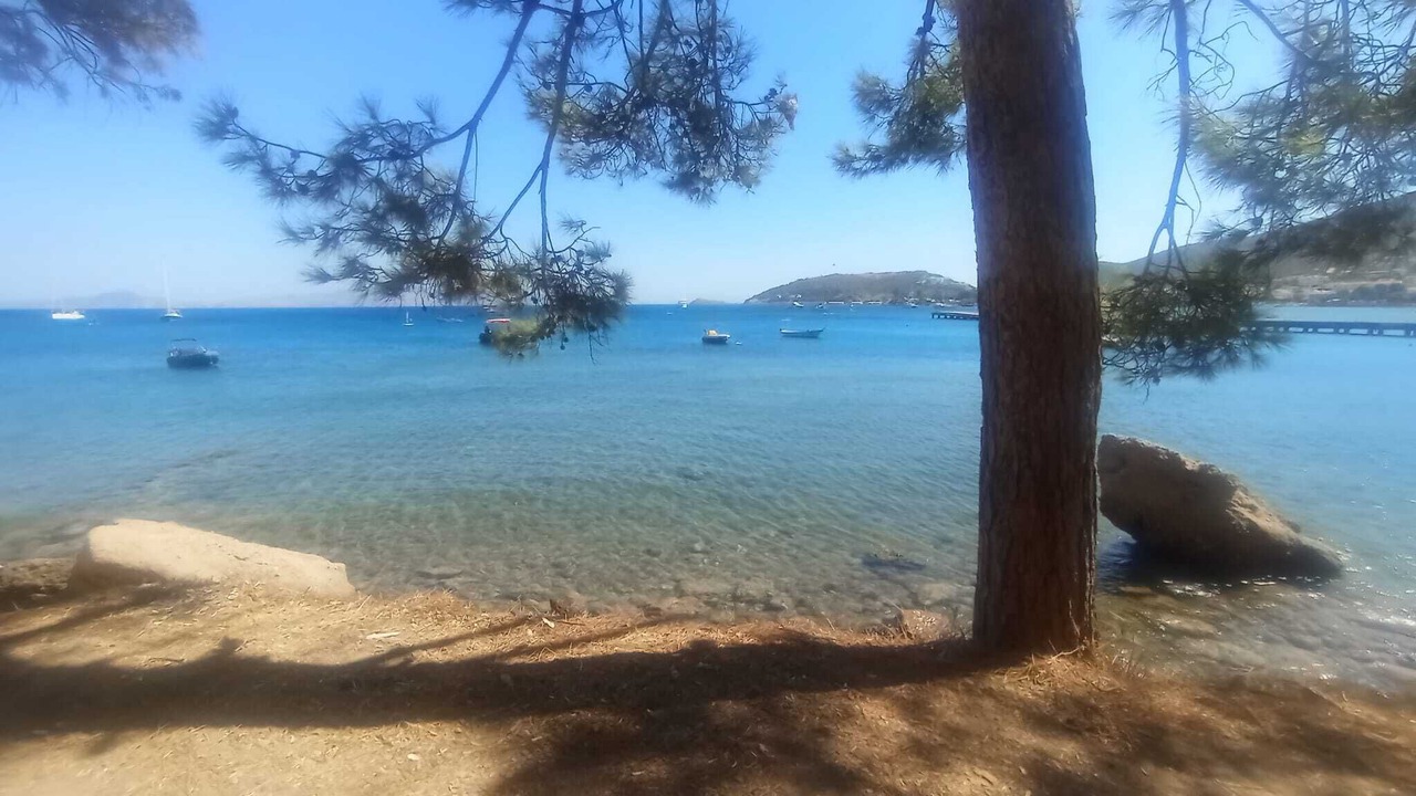 Photo of Others in Datca
