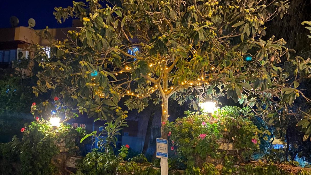 Photo of Outdoor in Marmaris City Center
