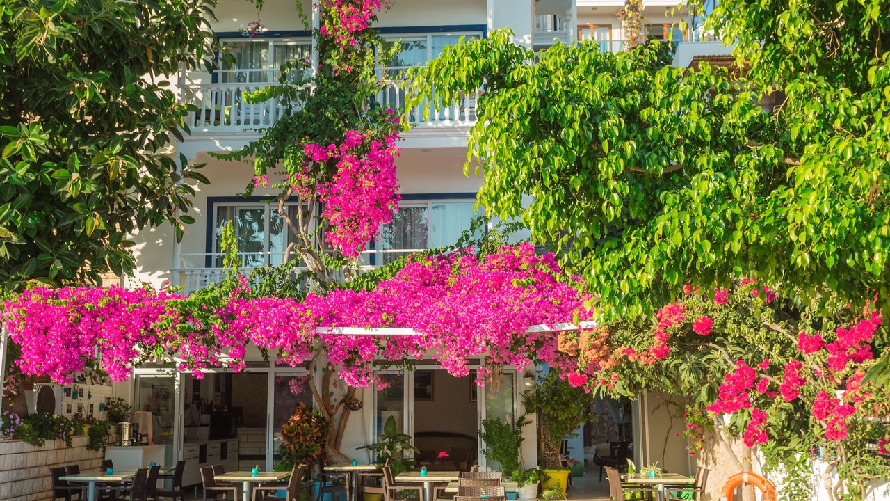 Photo of Outdoor in Kas