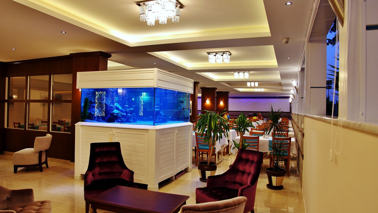 Photo of Others in Alanya