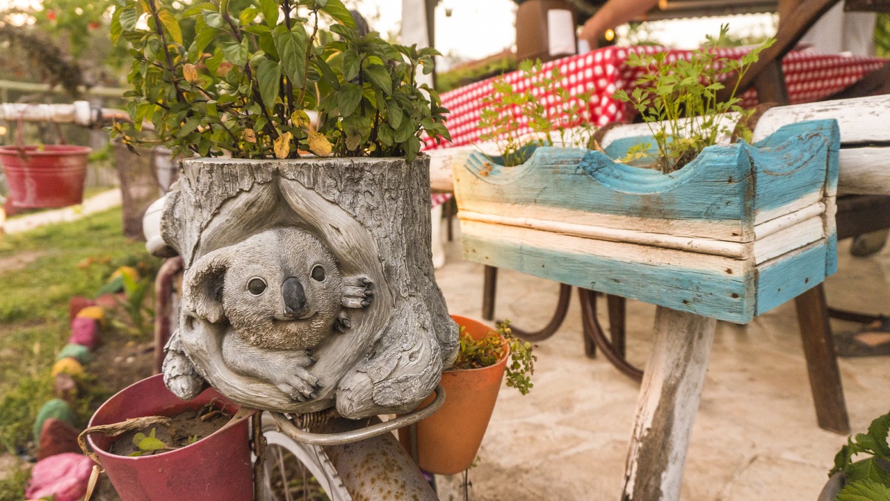 Photo of Outdoor in Olympos