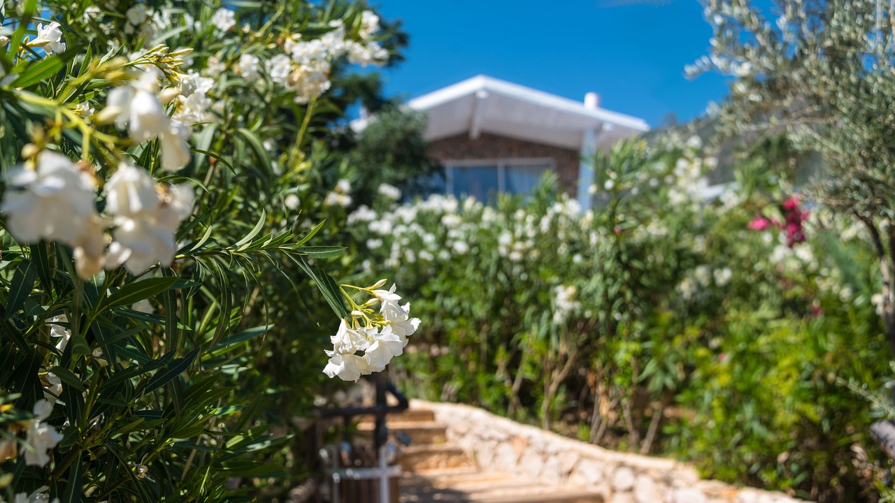 Photo of Outdoor in Kalkan