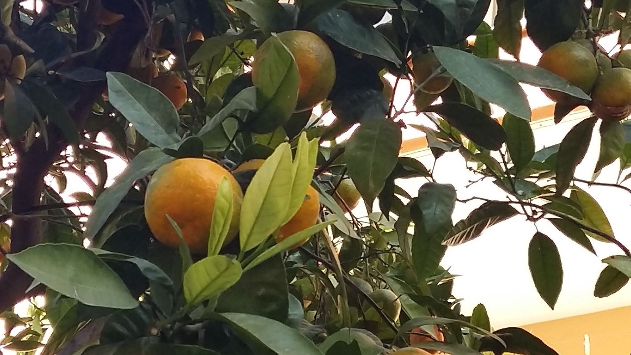 Photo of Outdoor in Selcuk