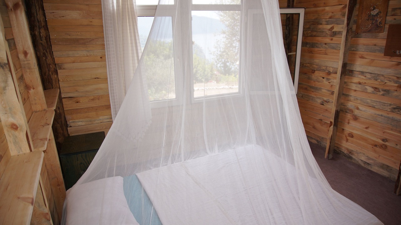 Photo of Others in Kabak Valley