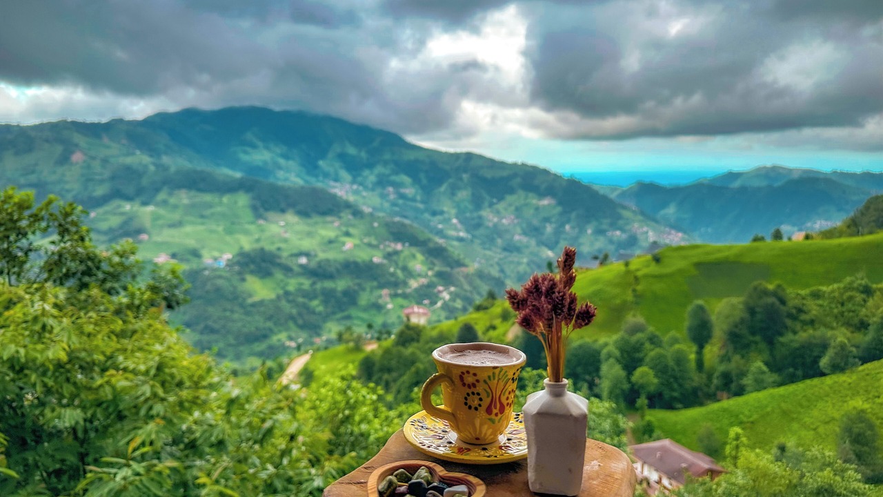 Photo of Outdoor in Cayirduzu