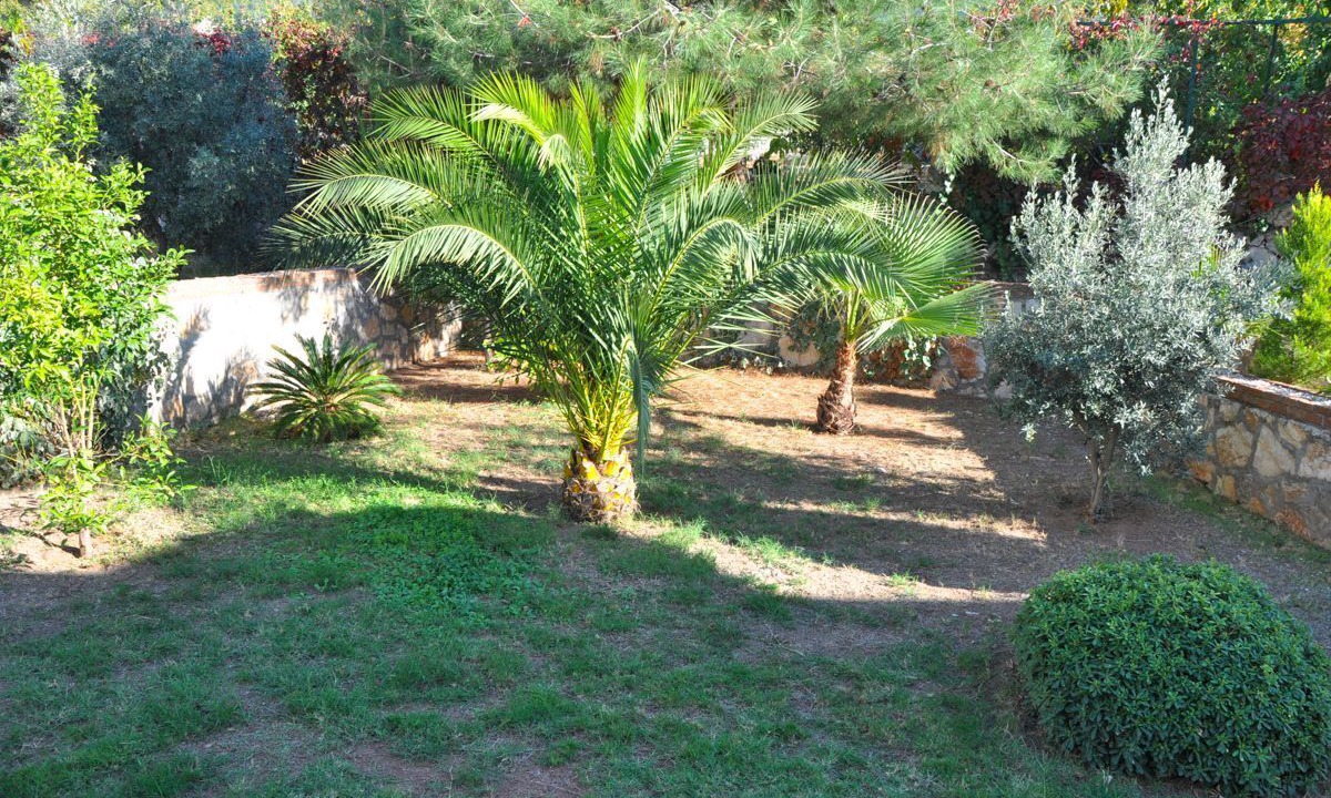 Photo of Others in Oludeniz