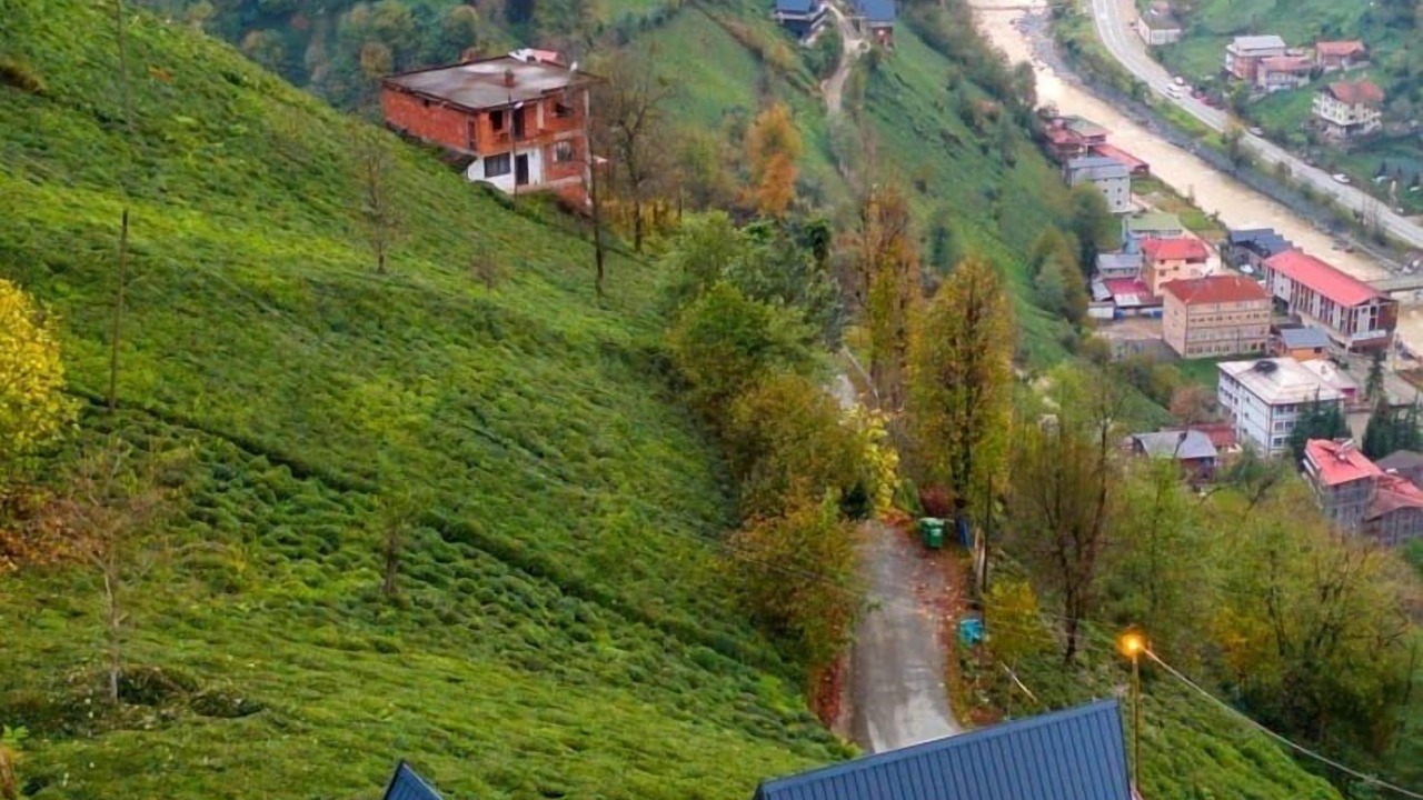 Photo of Outdoor in Cayirduzu