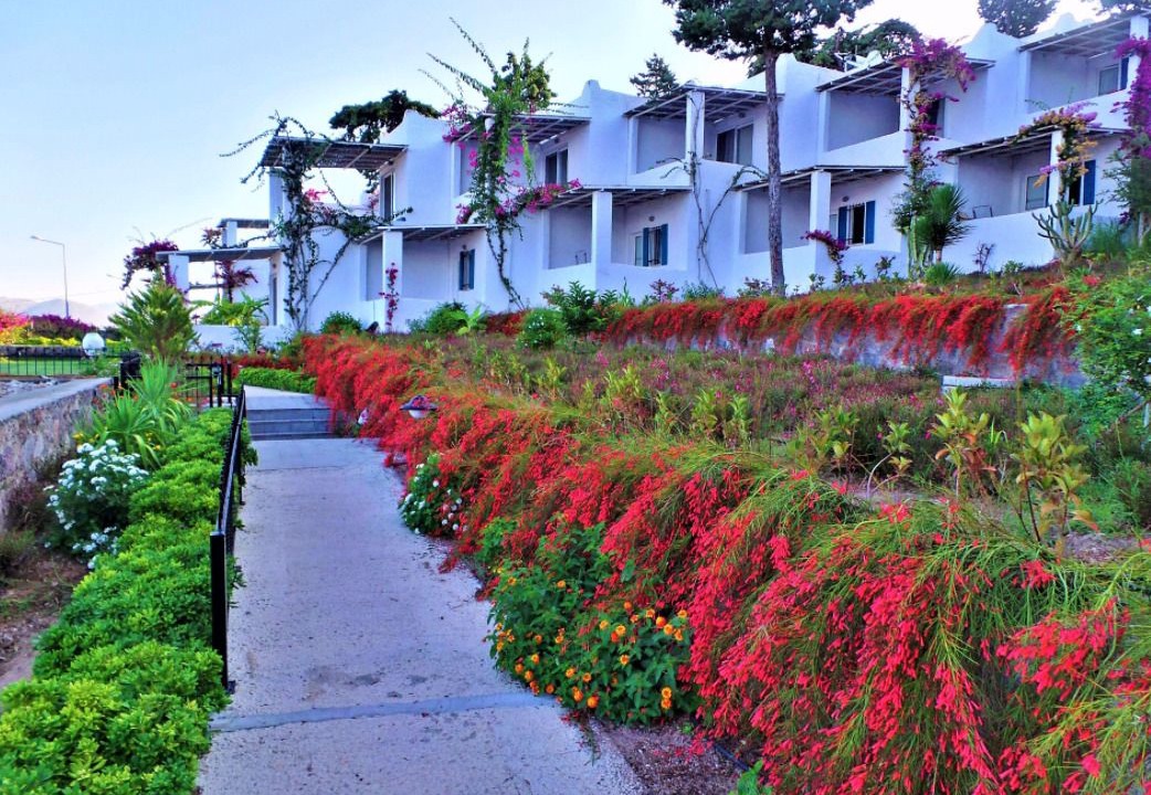 Photo of Outdoor in Turgutreis