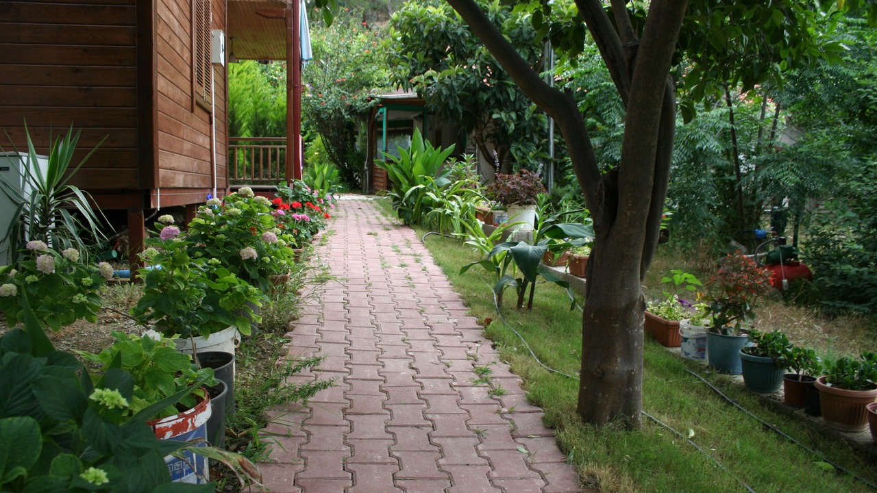 Photo of Outdoor in Cirali