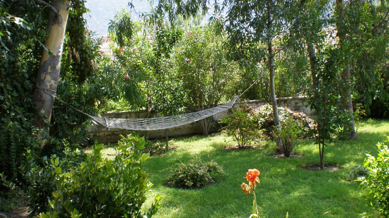 Photo of Outdoor in Dalyan