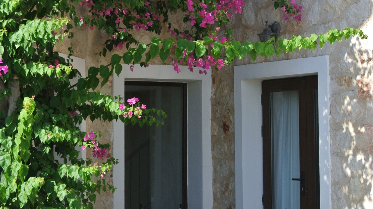 Photo of Outdoor in Kalkan