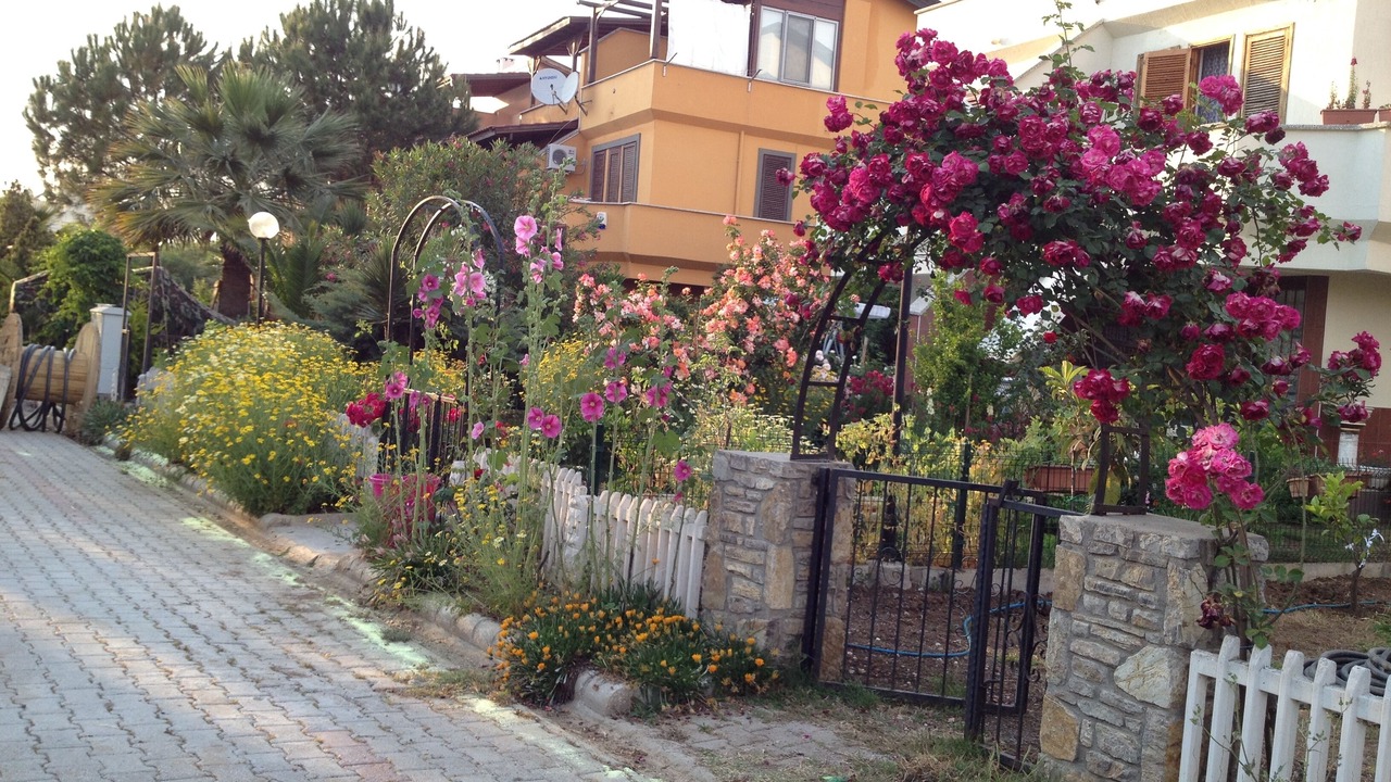 Photo of Others in Ciftlik