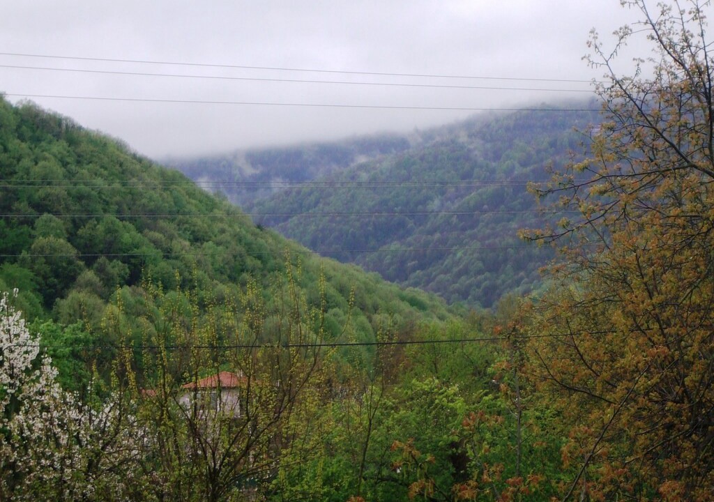 Photo of Others in Yanik