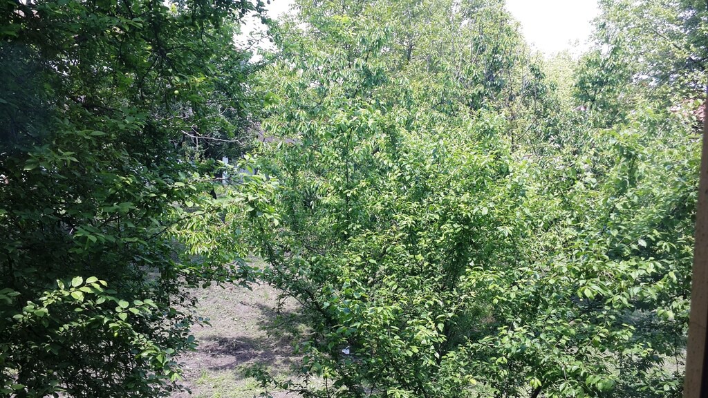 Photo of Others in Yanik