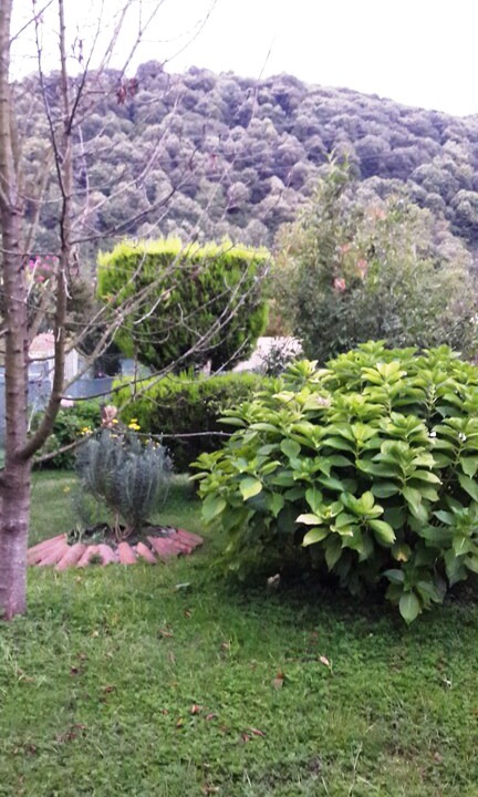 Photo of Others in Yanik