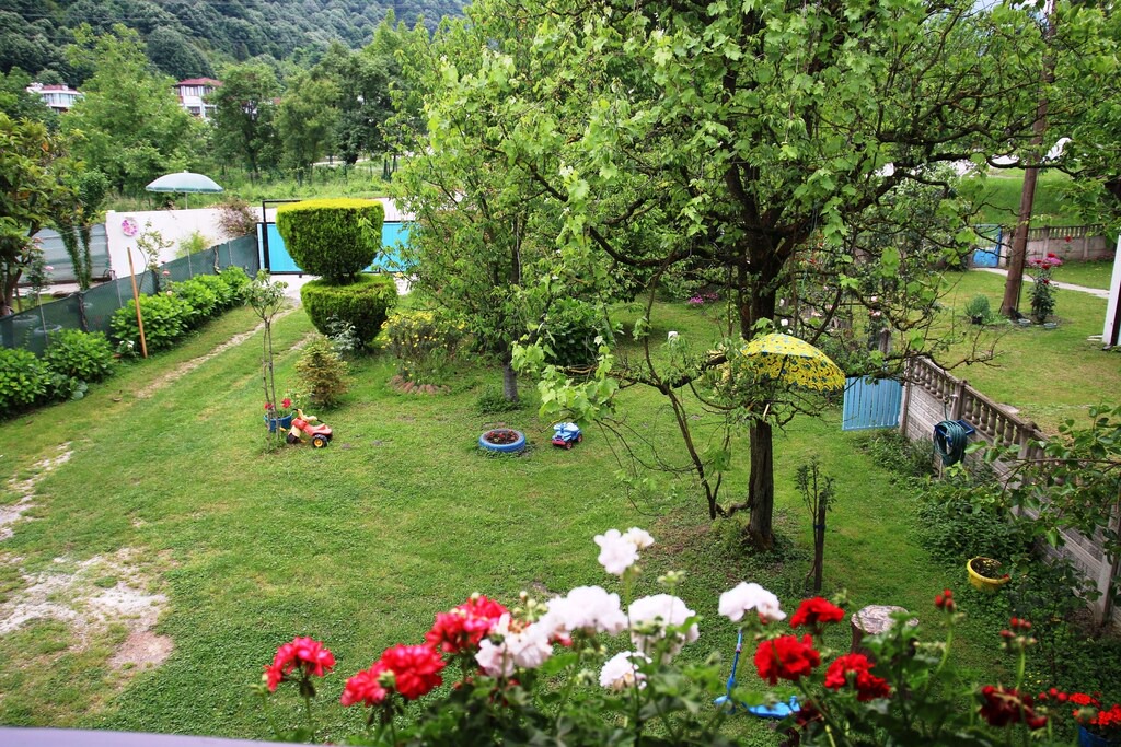Photo of Others in Yanik