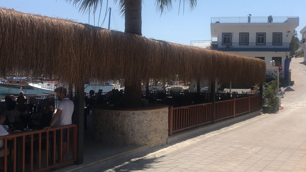 Photo of Livingroom in Akyarlar