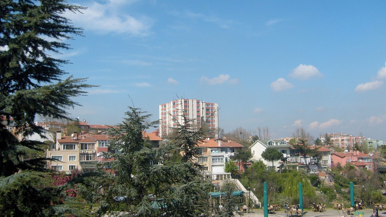 Photo of Others in Besiktas
