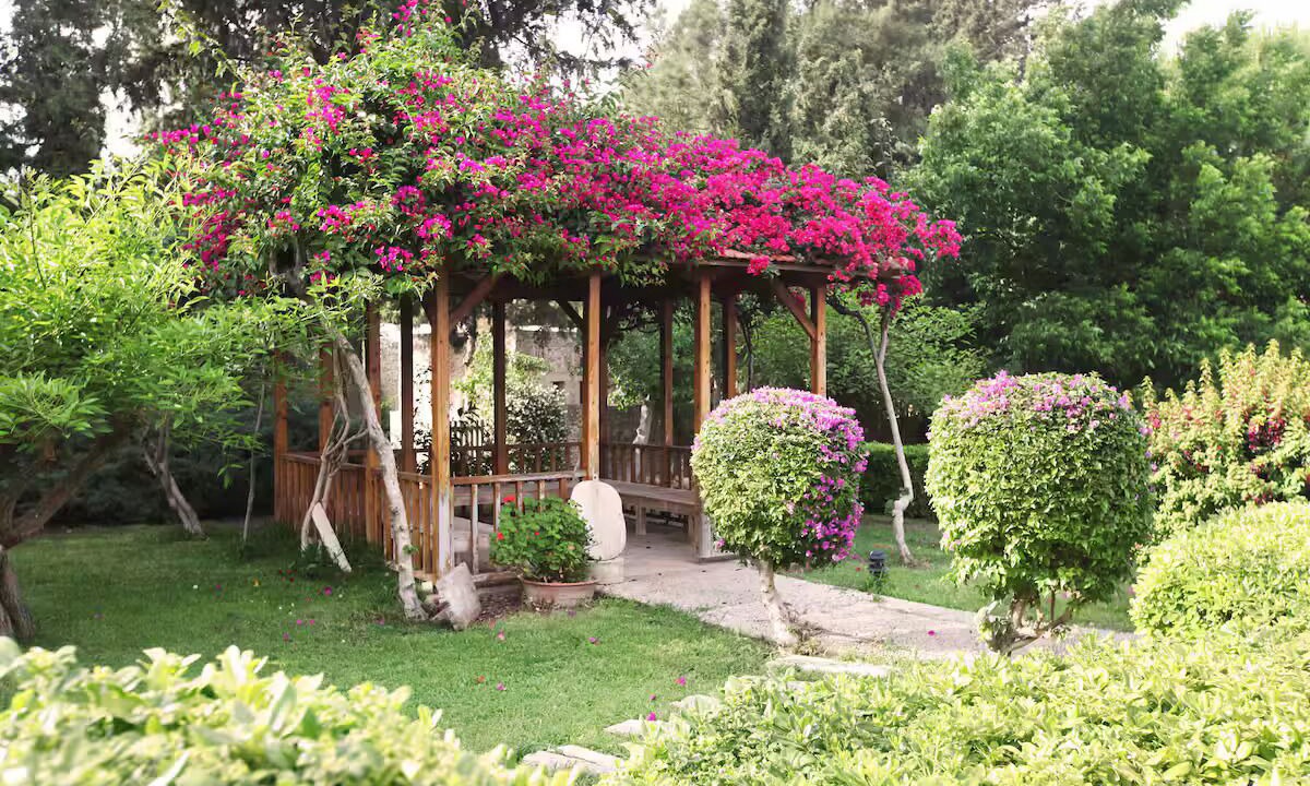 Photo of Outdoor in Datca