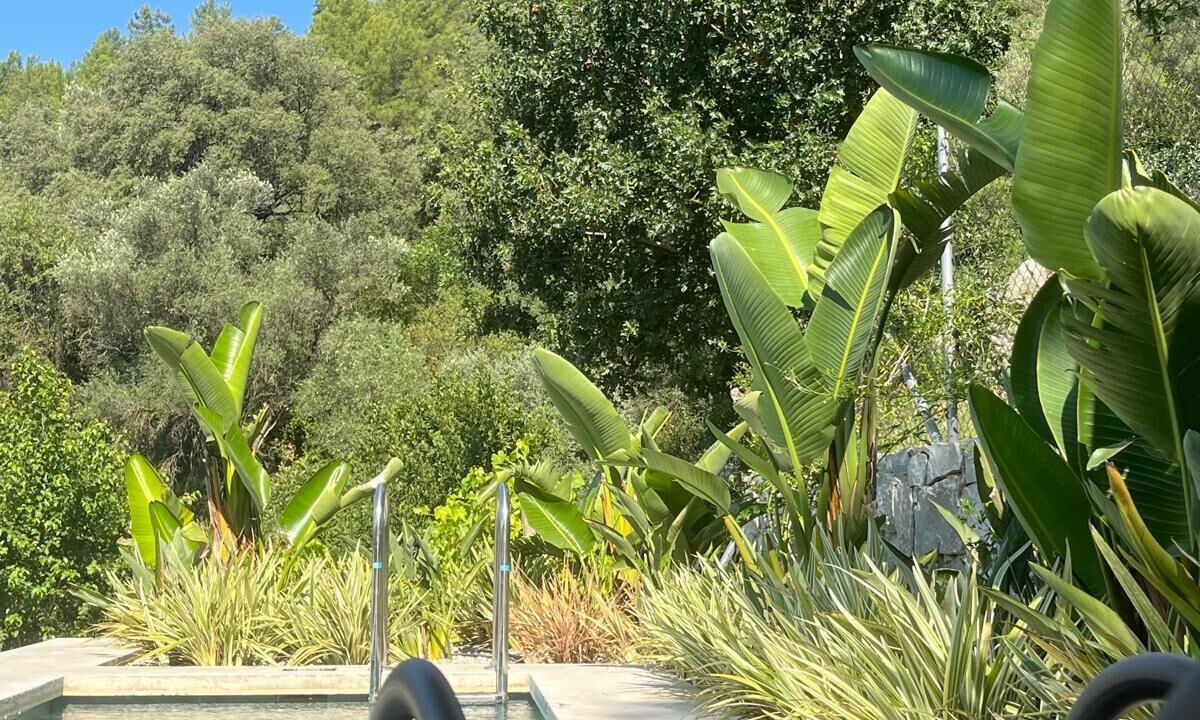 Photo of Outdoor in Ula