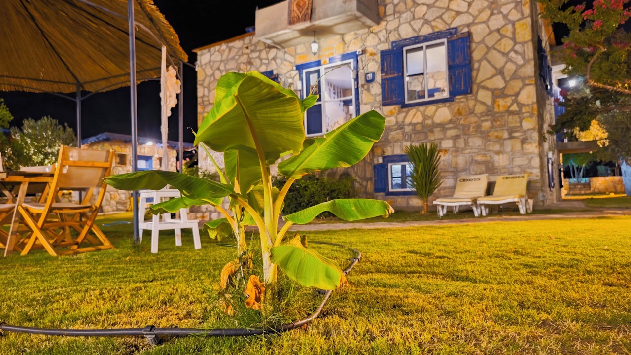 Photo of Outdoor in Milas