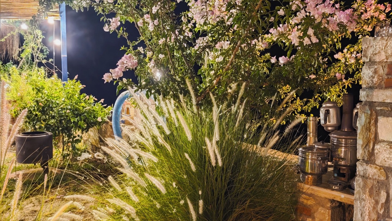 Photo of Outdoor in Milas