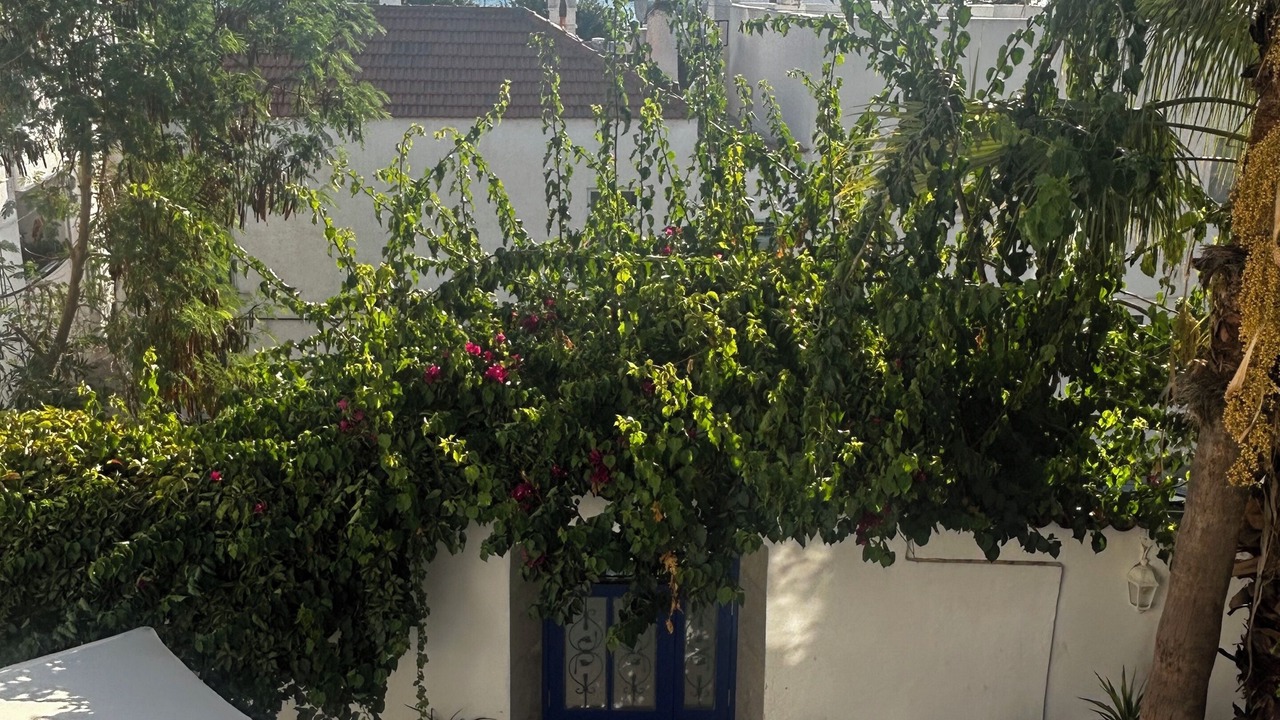 Photo of Outdoor in Bodrum City Center