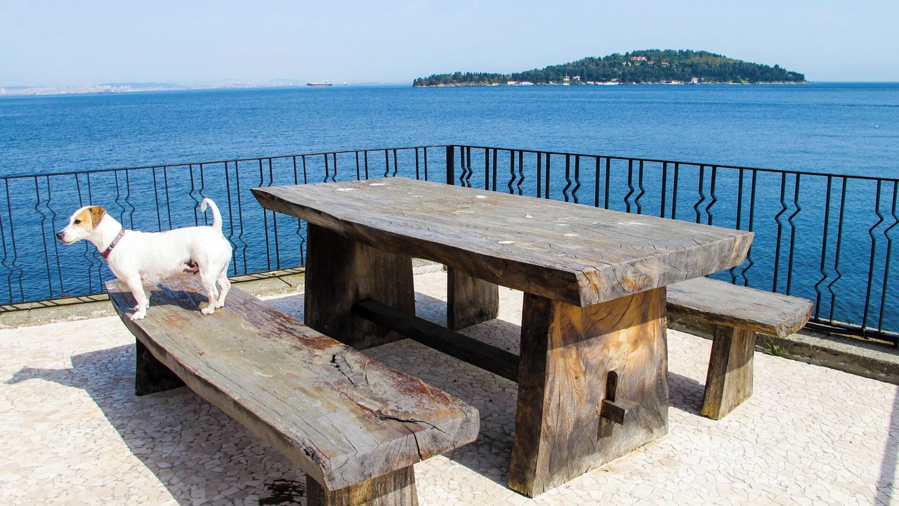 Photo of Outdoor in Adalar