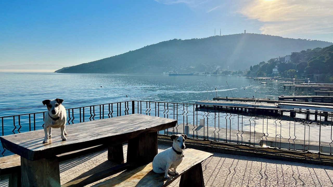 Photo of Outdoor in Adalar