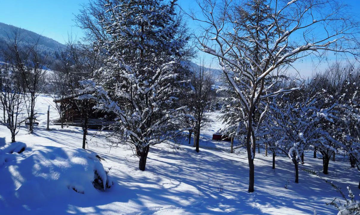Photo of Others in Bolu