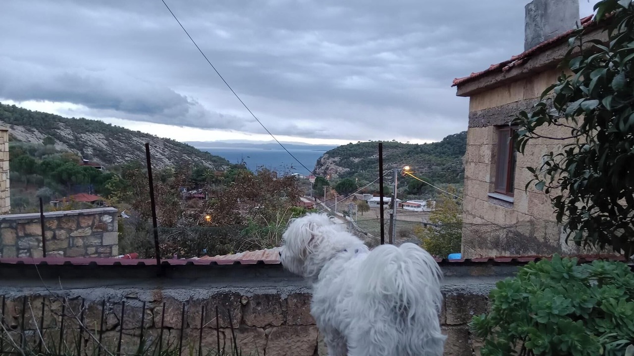 Photo of Outdoor in Ayvacik