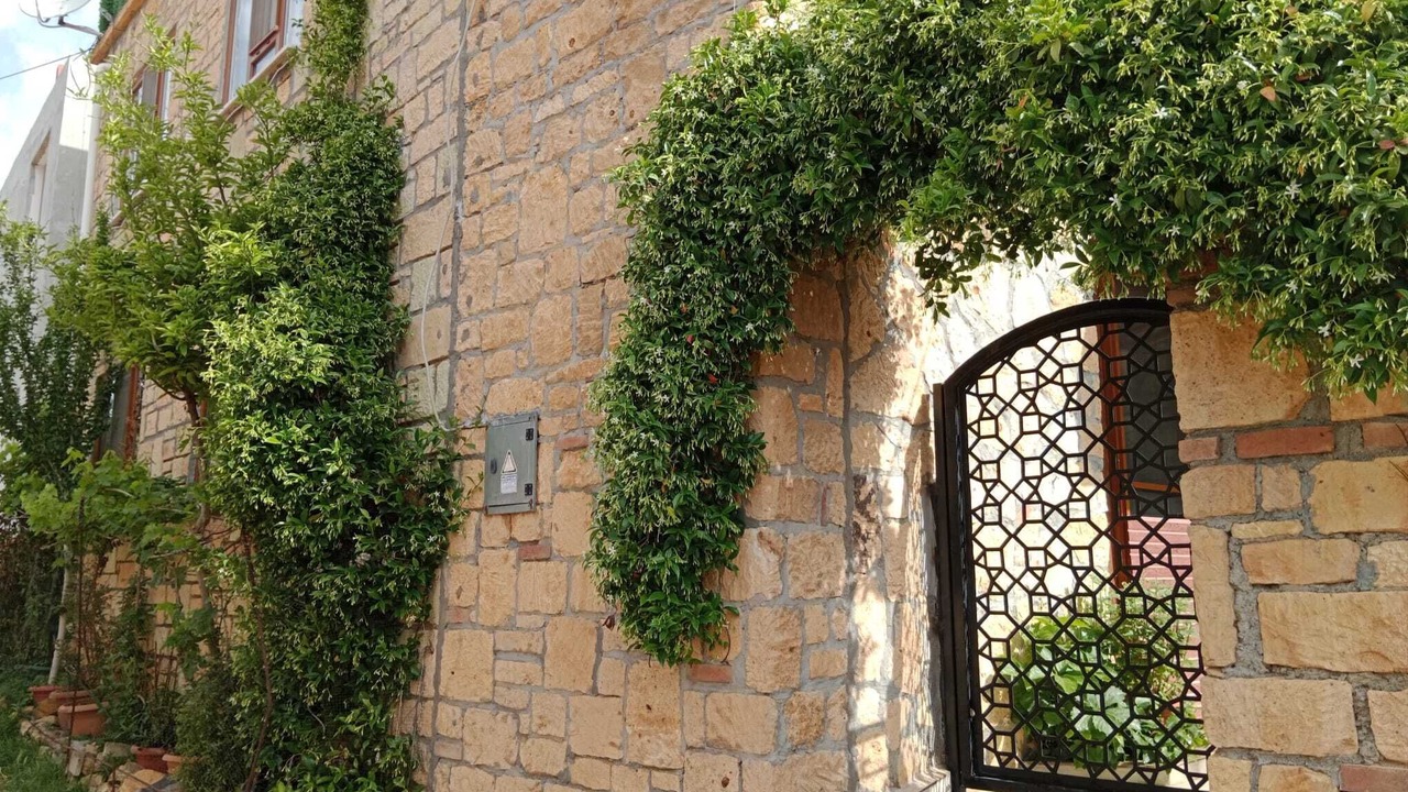 Photo of Outdoor in Ayvacik