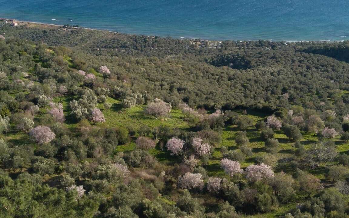 Photo of Others in Ayvacik
