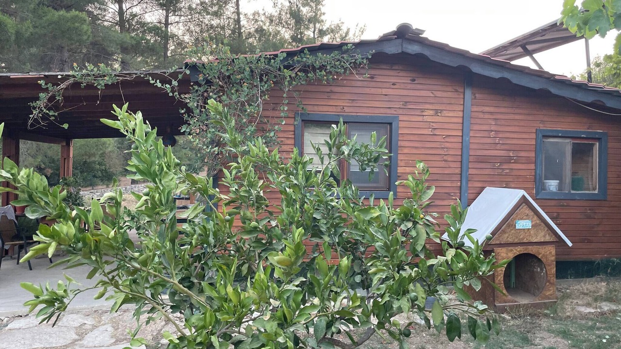 Photo of Outdoor in Milas