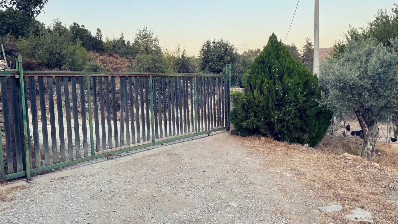 Photo of Outdoor in Milas