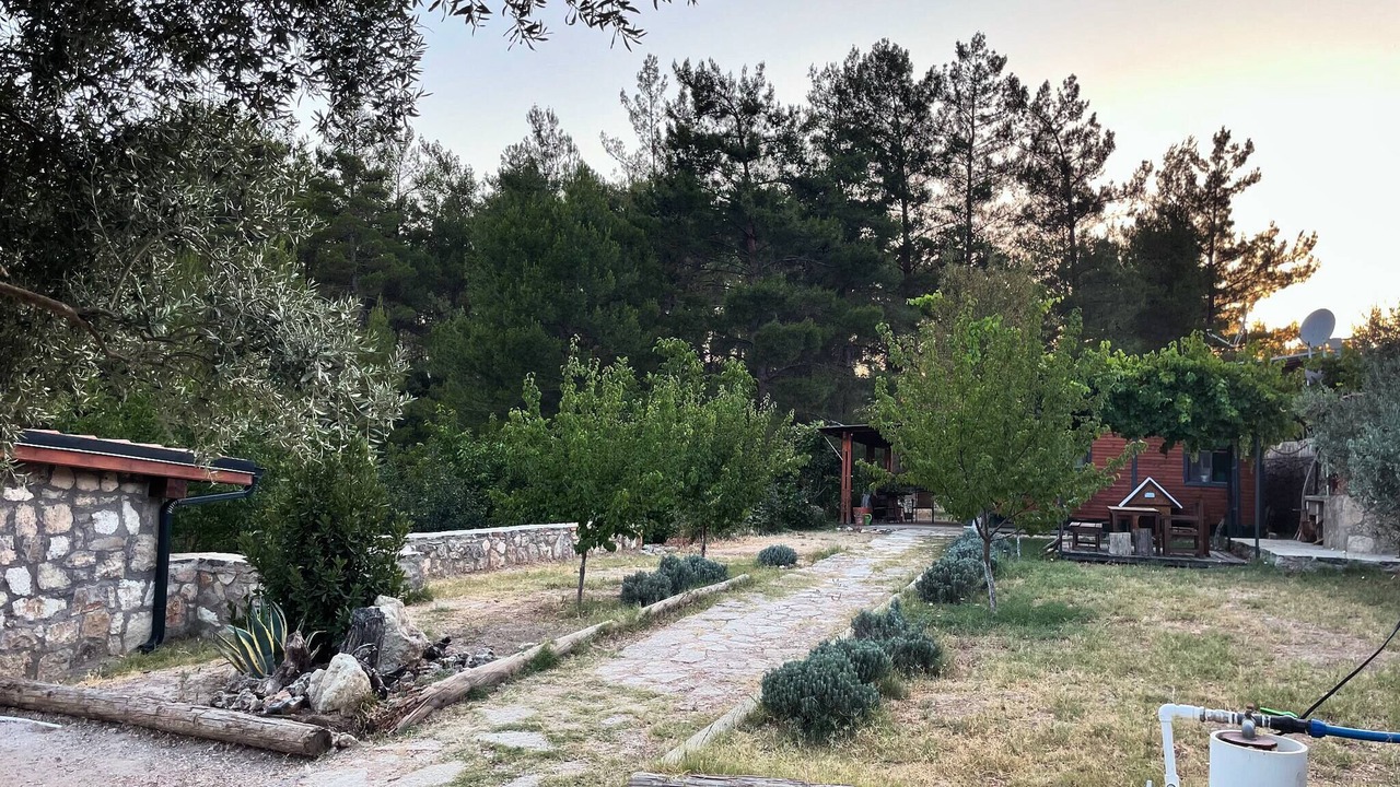 Photo of Outdoor in Milas