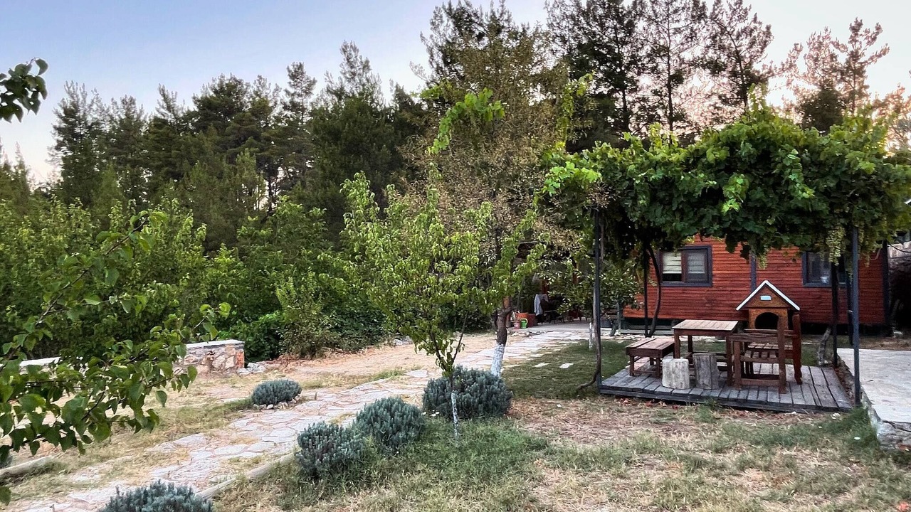 Photo of Outdoor in Milas