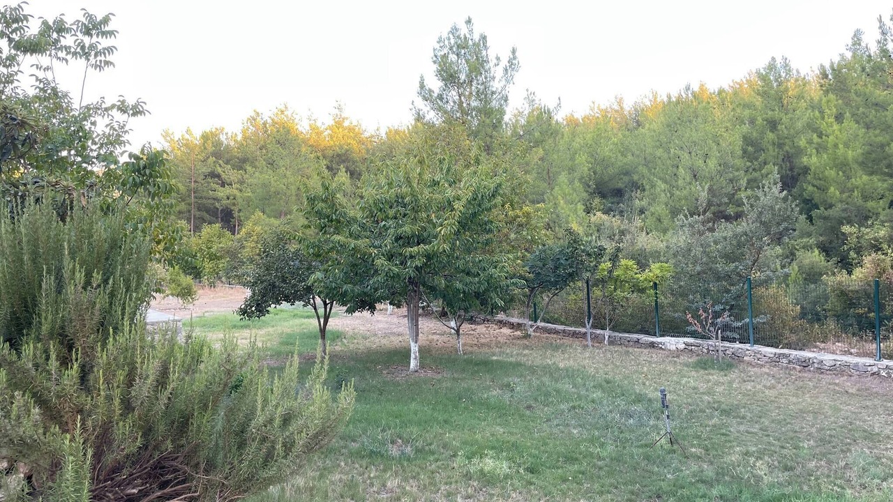 Photo of Others in Milas