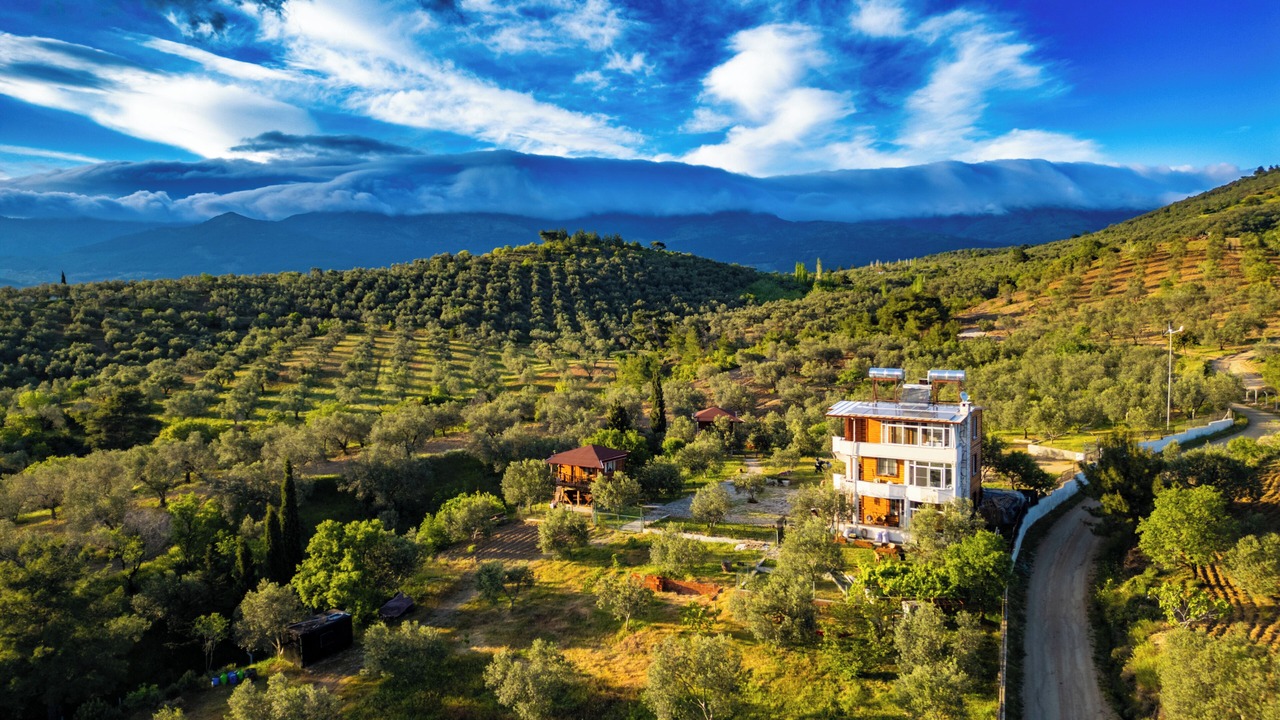 Photo of Outdoor in Zeytinli
