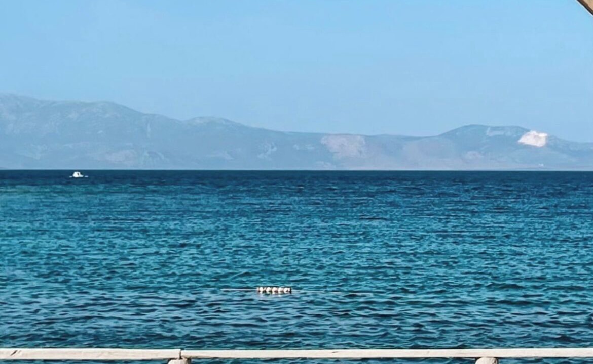 Photo of Others in Dalyan Mahallesi