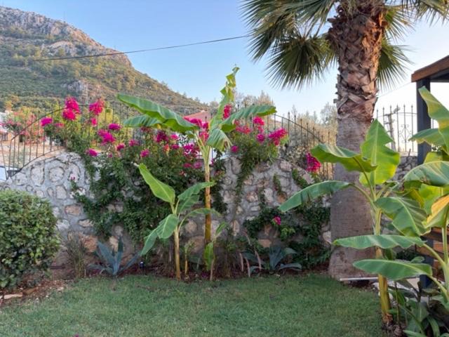 Photo of Others in Oludeniz