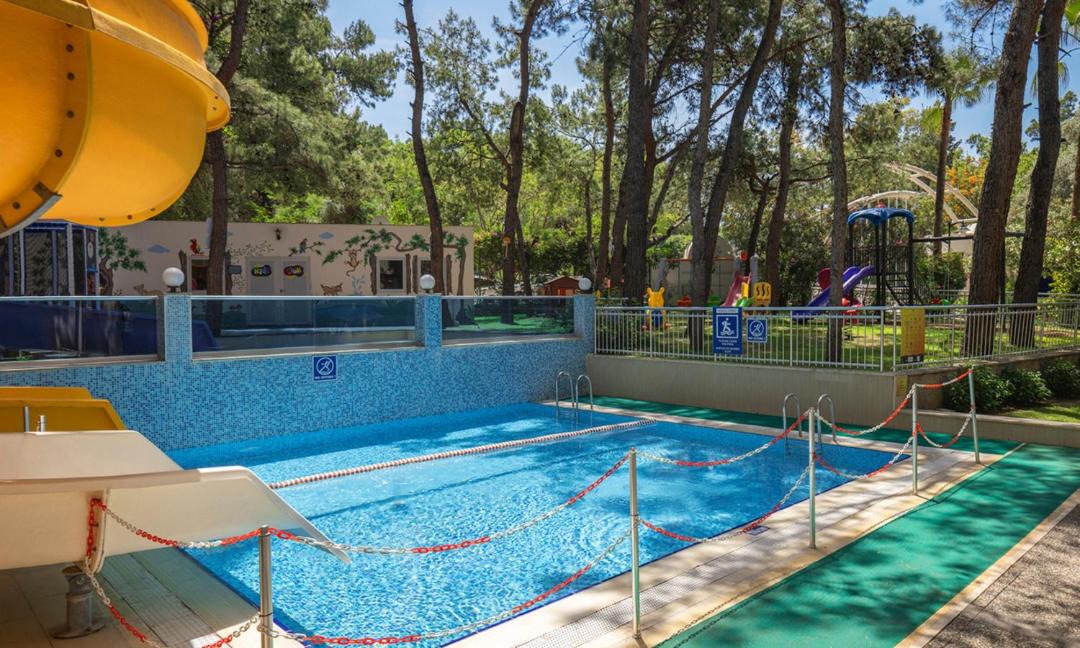 Photo of Others in Torba